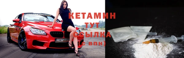 индика Елизово