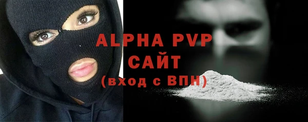 индика Елизово
