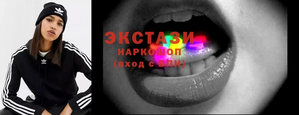 индика Елизово