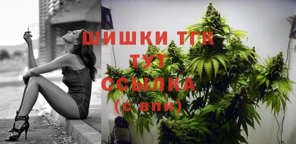 мет Дмитров