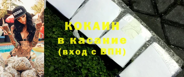 индика Елизово