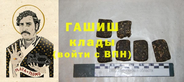 индика Елизово