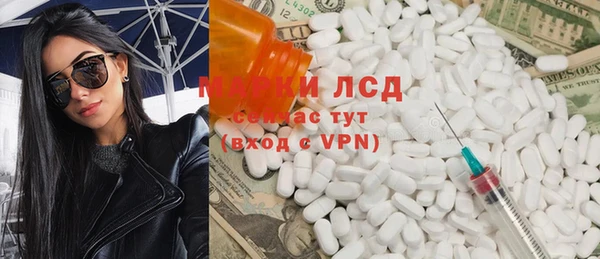 индика Елизово