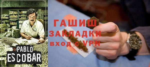 индика Елизово
