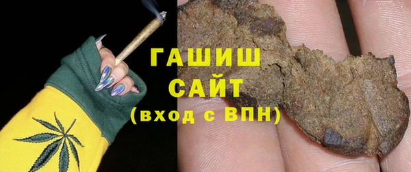 индика Елизово