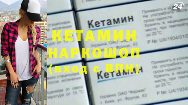 индика Елизово
