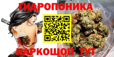 амф Гусиноозёрск